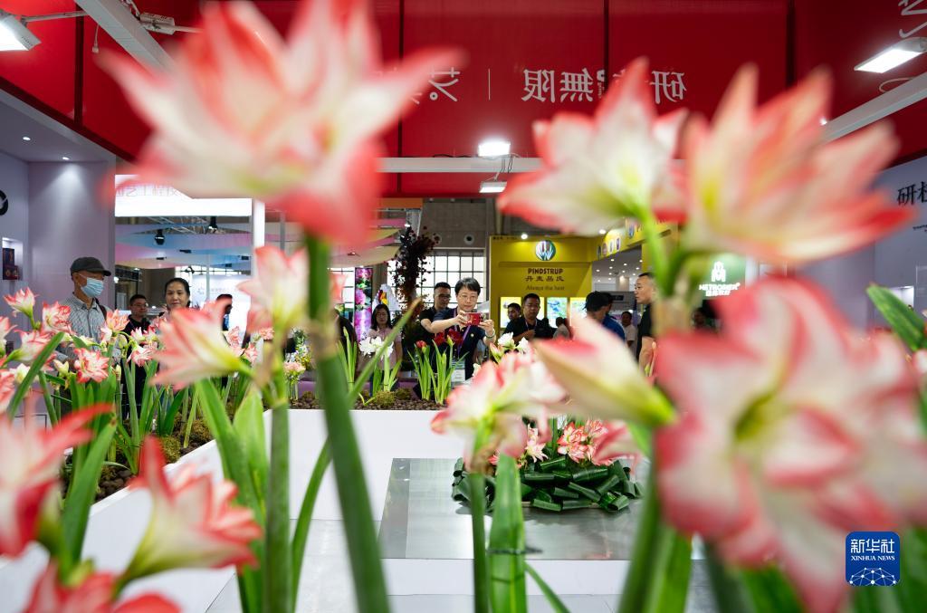 李逵现金打鱼注册送5元